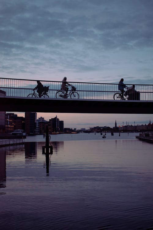 Foto profissional grátis de alvorecer, andando de bicicleta, cair da noite