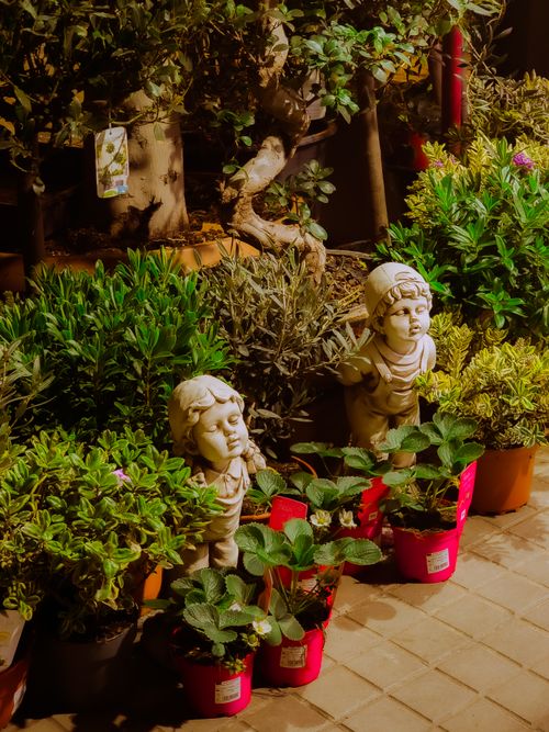 Free Decorative garden figurines surrounded by lush potted plants at night in Barcelona. Stock Photo