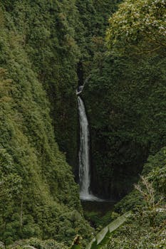 Discover the breathtaking waterfall surrounded by verdant rainforest in Alajuela, Costa Rica.