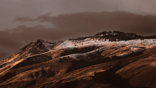 Foto d'estoc gratuïta de bosc, descoratjador, geologia