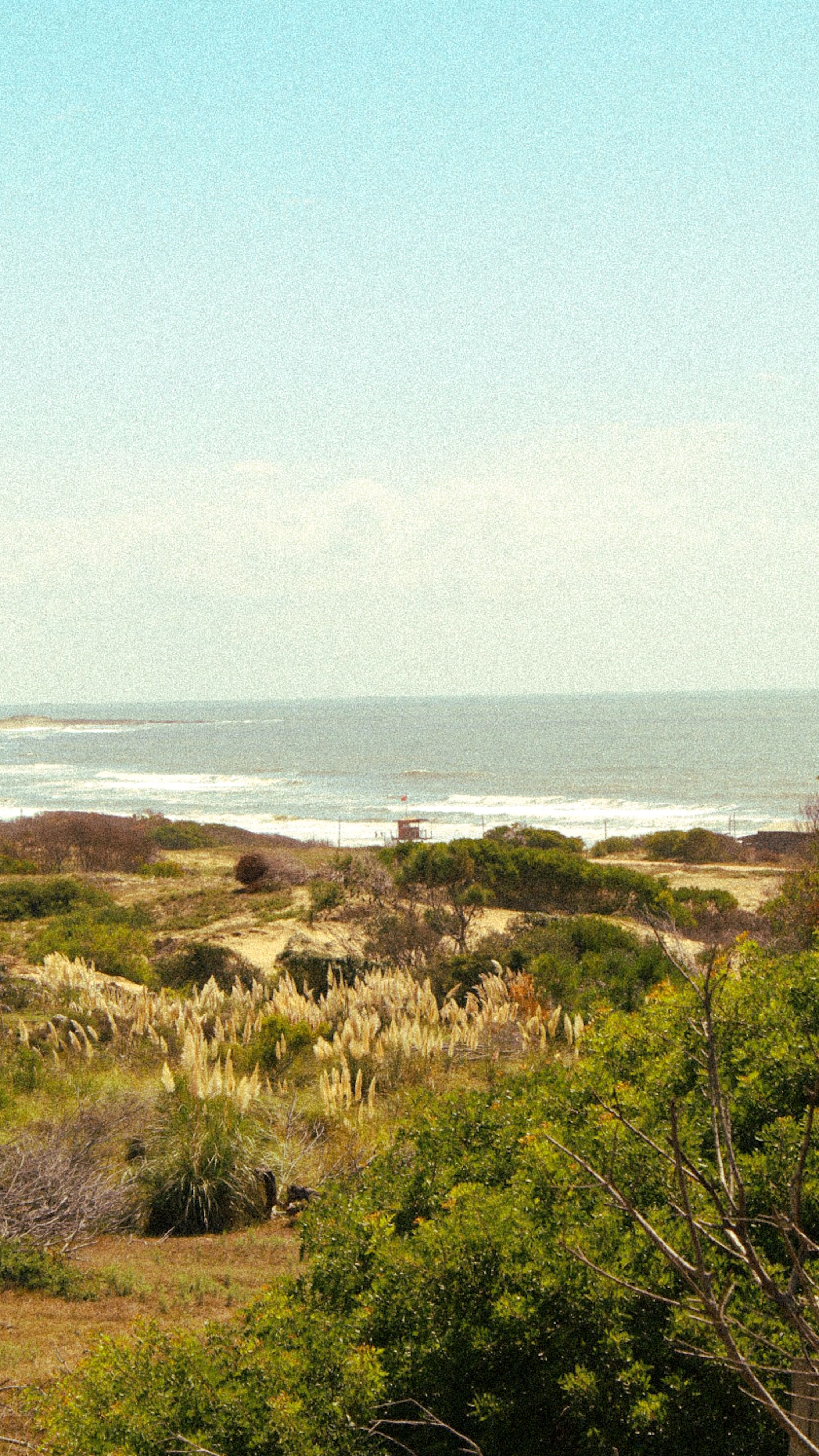 Vibrant coastal landscape in Punta del Diablo, Uruguay with lush greenery and ocean waves.