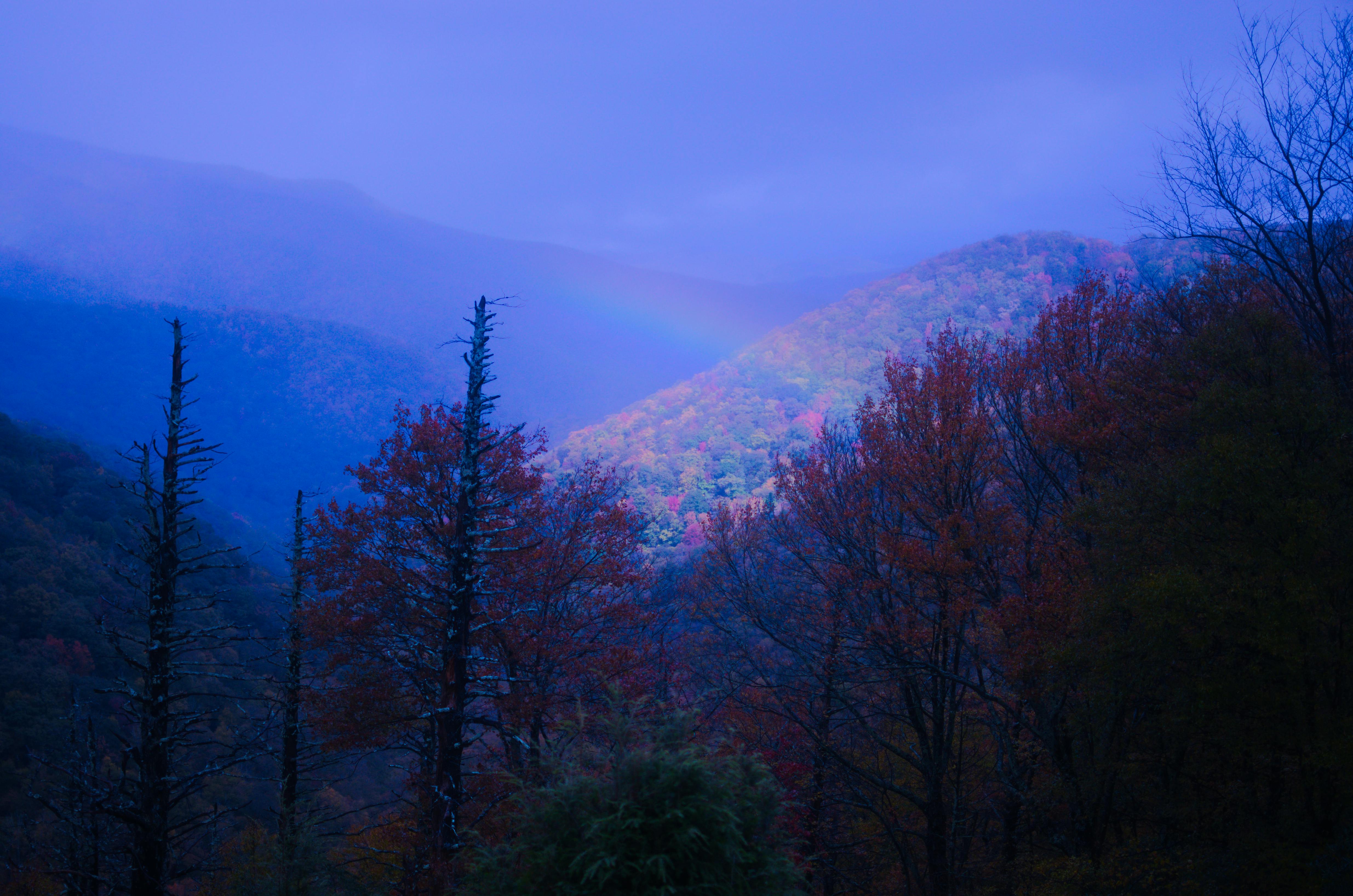 银川银行如何用肇新智能文档比对看懂跨页复杂表格里的关键数值变化