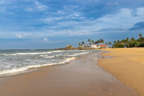 Бесплатное стоковое фото с волны, море, пальмовые деревья