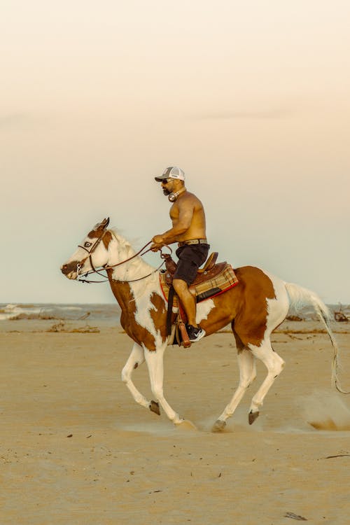 Man Horseback Riding on the Beach 