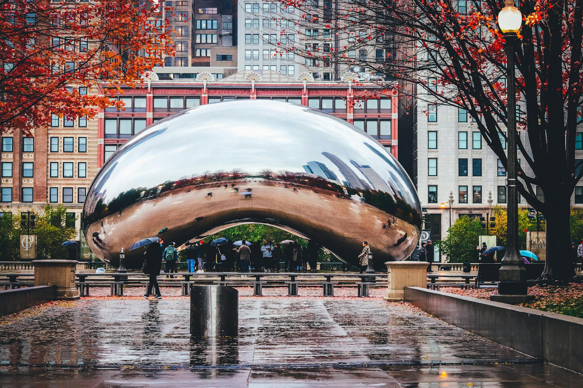 A stunning click of Chicago Bean