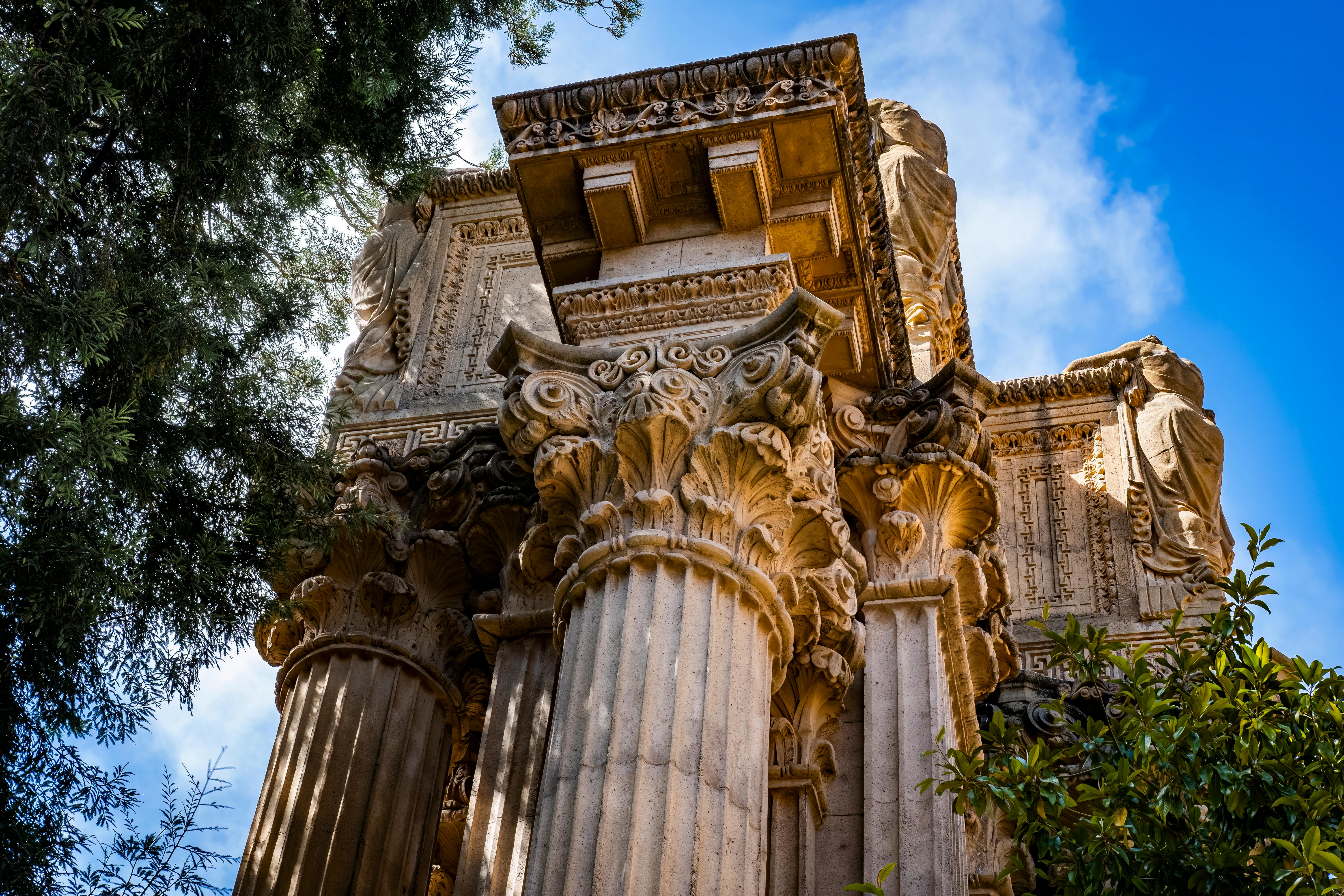 Stanford needs more rigorous general education requirements — Photo by David McElwee on Pexels