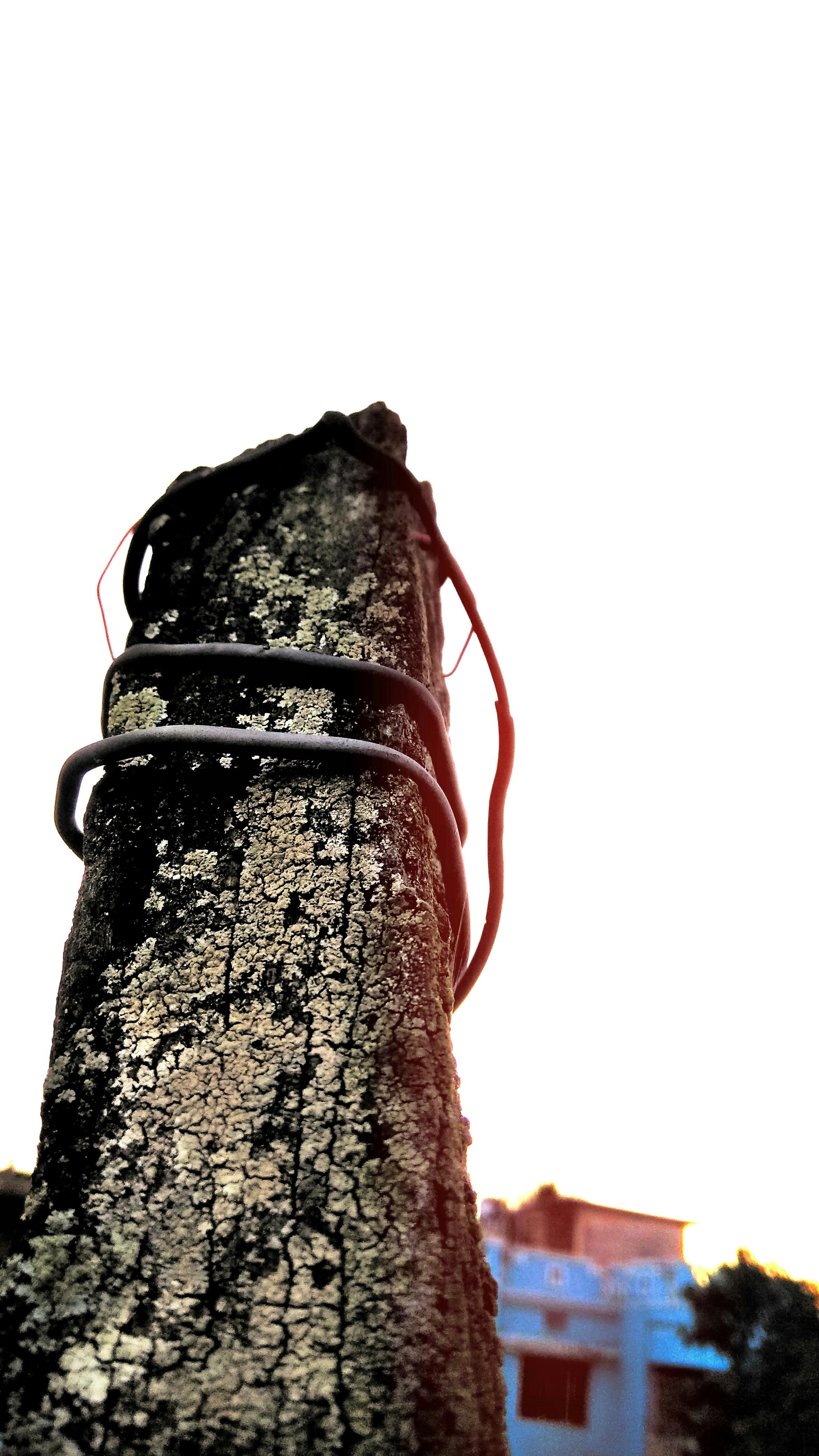 Unlock the Power of Immune System Boosters: Top 5 Natural Ways to Supercharge Your Health cover image