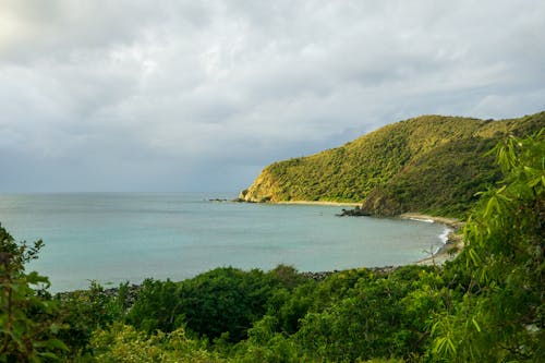 Idyllic Landscape with Coastline