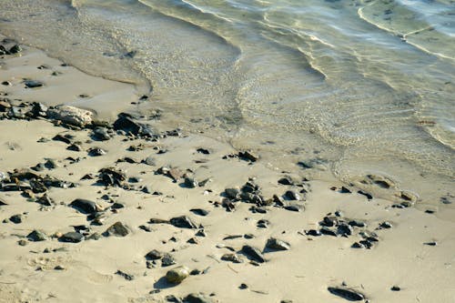 Photo of Stones on a Sandy Beach