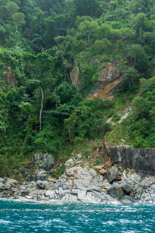 Photo of a Rocky Seashore Covered with a Tropical Forest