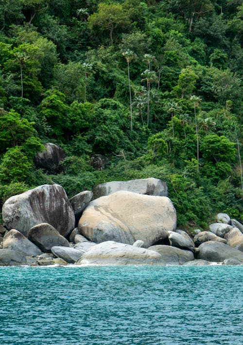 Rocks on the Coast of the Sea and Tropical Forest 
