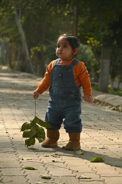 Free A cute toddler in denim overalls walks in a park holding leaves on a sunny day. Stock Photo