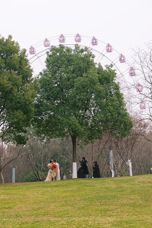 Photos gratuites de arbres, gens, grande roue