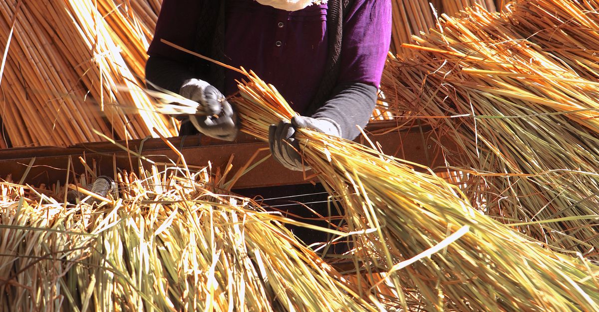 Straw Working Woman Working with Straw · Free Stock Photo