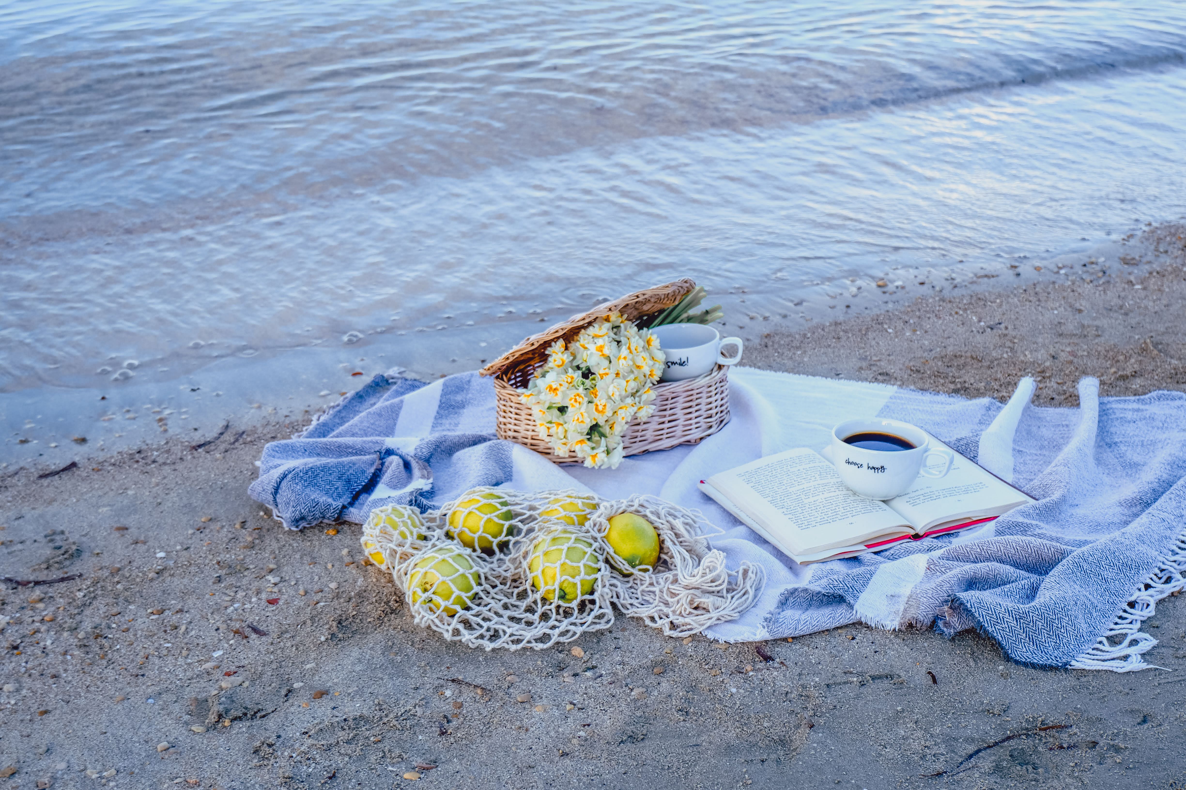 A serene beach picnic scene with a blanket, book, coffee, and lemons by the sea.