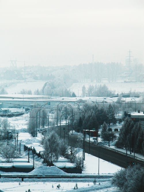 Foggy Winter Scenery