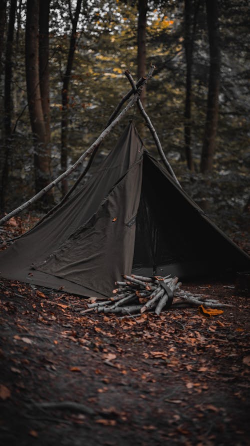 Photos gratuites de automne, bushcraft, camper