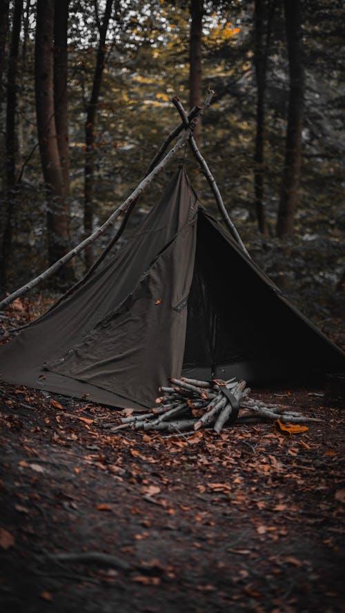 Tent in Forest