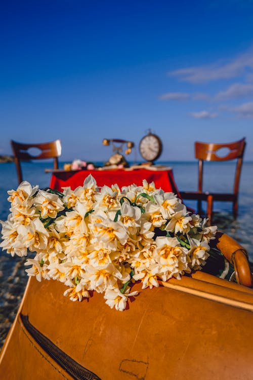 Beach Chair That Fits In Suitcase Photos Download The BEST Free Beach Chair That Fits In Suitcase Stock Photos HD Images