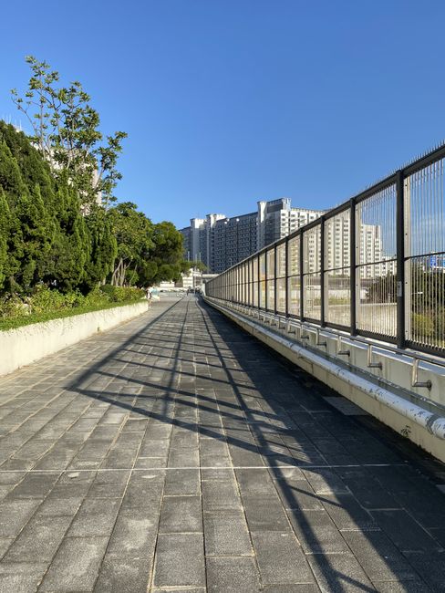 Fotomural Un paisaje urbano iluminado por el sol con un sendero que conduce a edificios altos rodeados de vegetación.