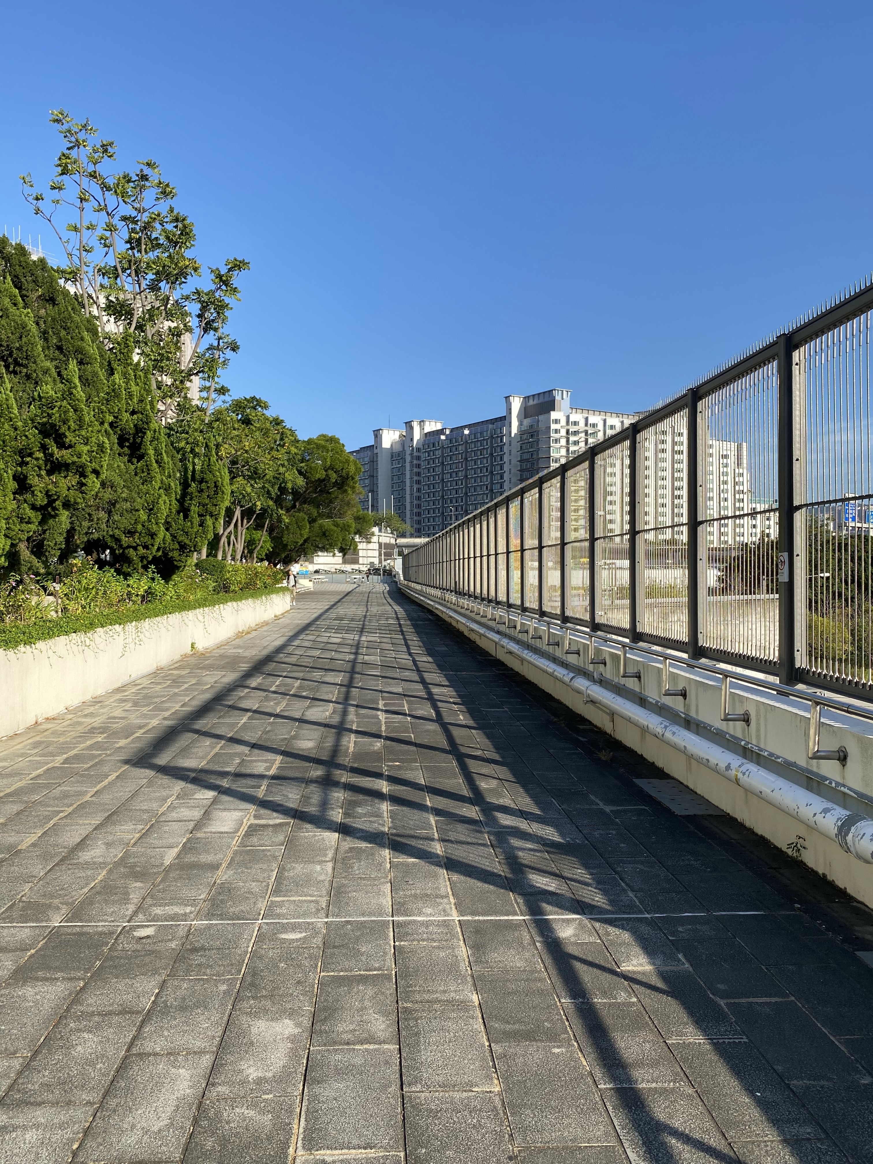Wide urban walkway leading towards buildings