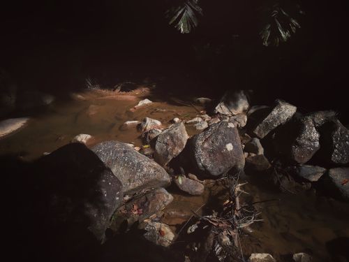 Free Sunlight illuminates a rocky stream in a natural setting, George Town, Malaysia. Stock Photo