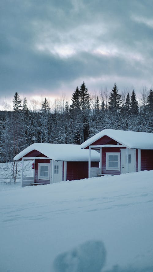 Little Cabins in Winter