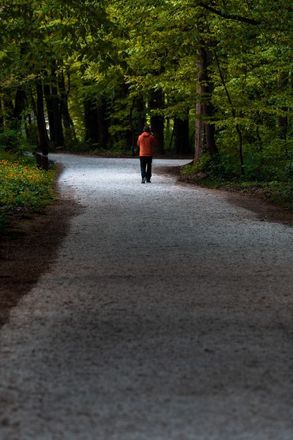 Anonymous man walking on roadway near lush green trees · Free Stock Photo