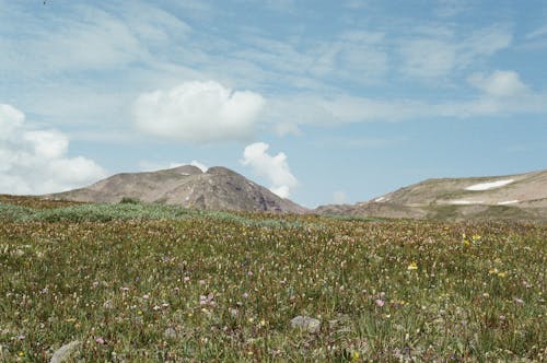 Grass Field and Mountains in Distance 