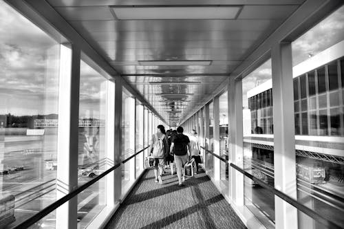 Kostnadsfri bild av arkitektur, flygplats, glas
