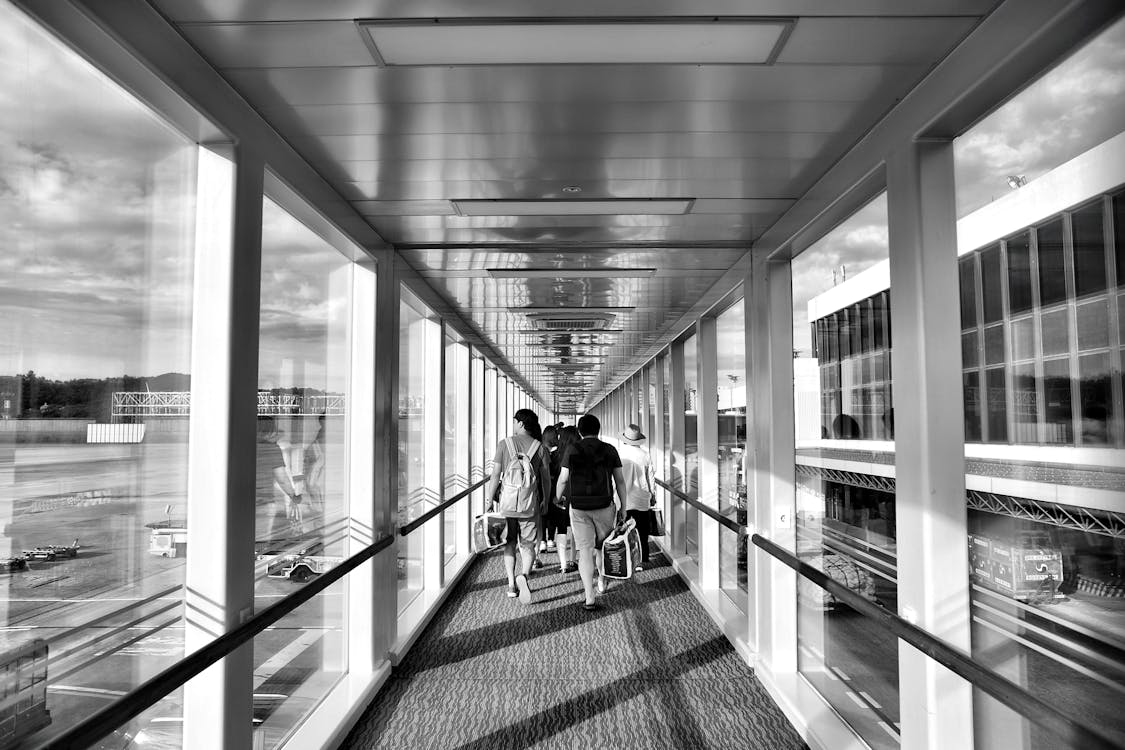 Gratis Fotos de stock gratuitas de aeropuerto, arquitectura, blanco y negro Foto de stock