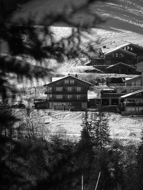 Houses on a Snowy Mountainside