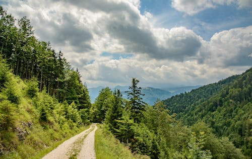 Road in Green Mountains Landscape 