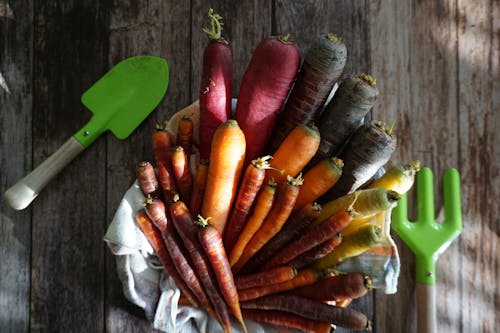 rainbow carrots