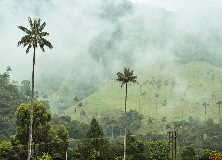 Salento, Colombia — sights worth exploring · stay connected with a Salento eSIM from My Holiday SIM