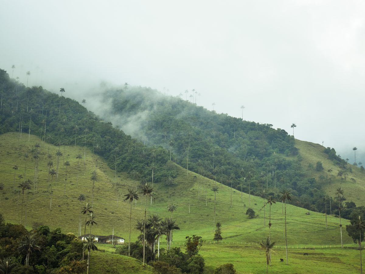 7 Day Silent Buddhist Meditation & Yoga Retreat in Colombia 2