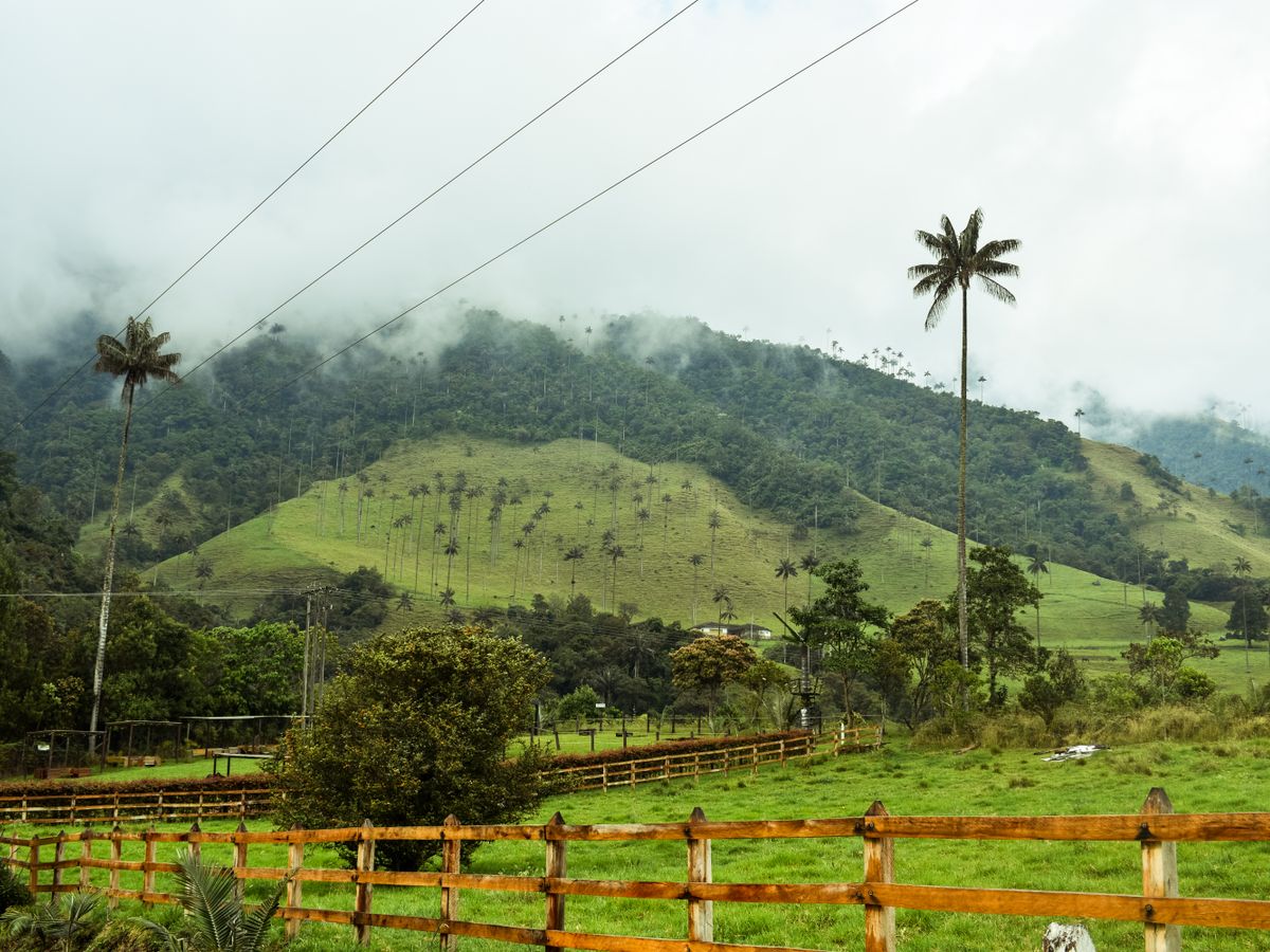 Ancestral Retreats 2