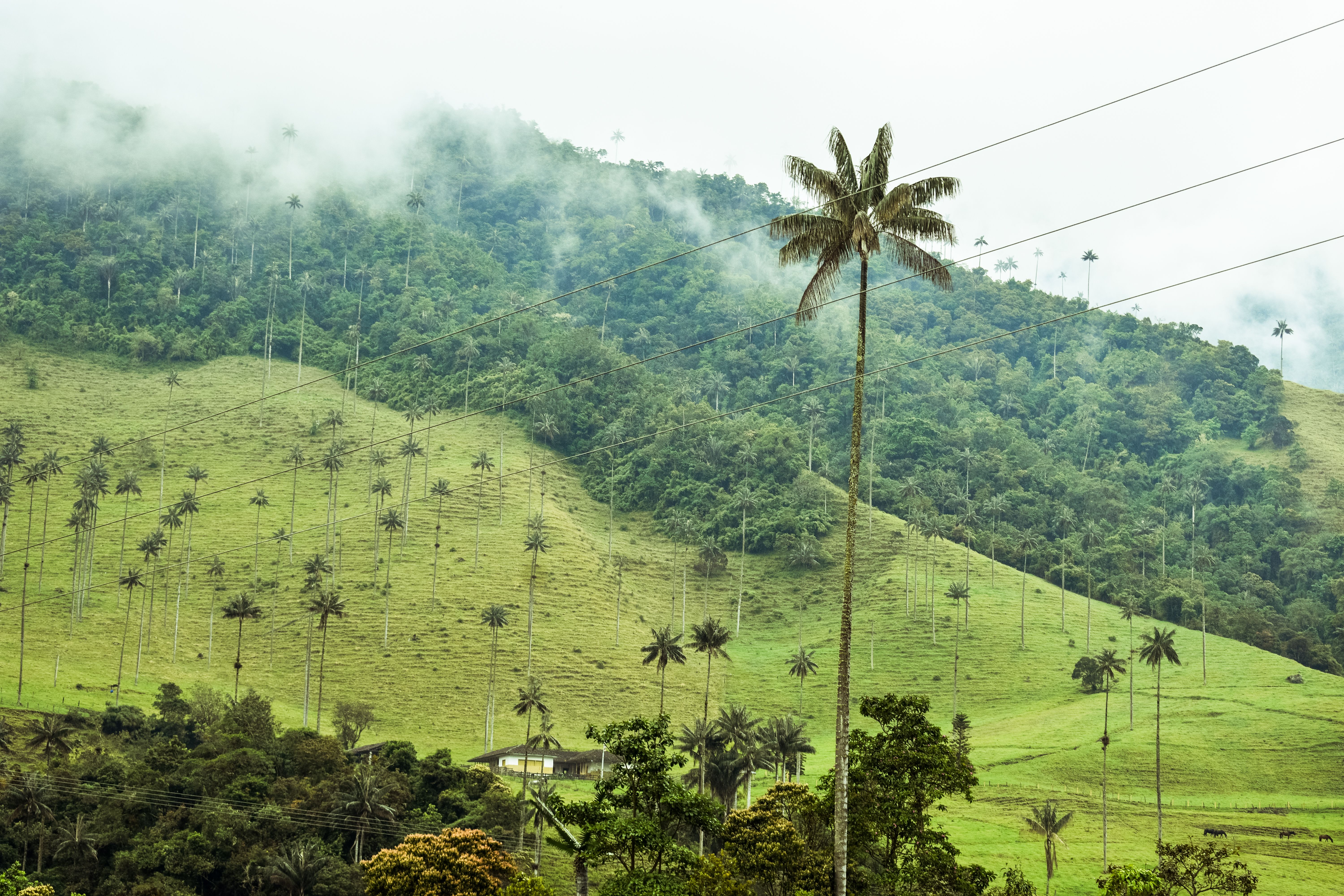 Heure Colombie : Décalage Horaire et Guide 2026