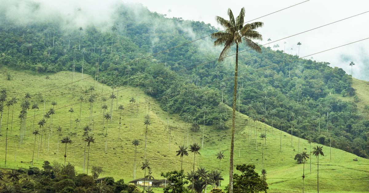 Heure Colombie : Décalage Horaire et Guide 2026
