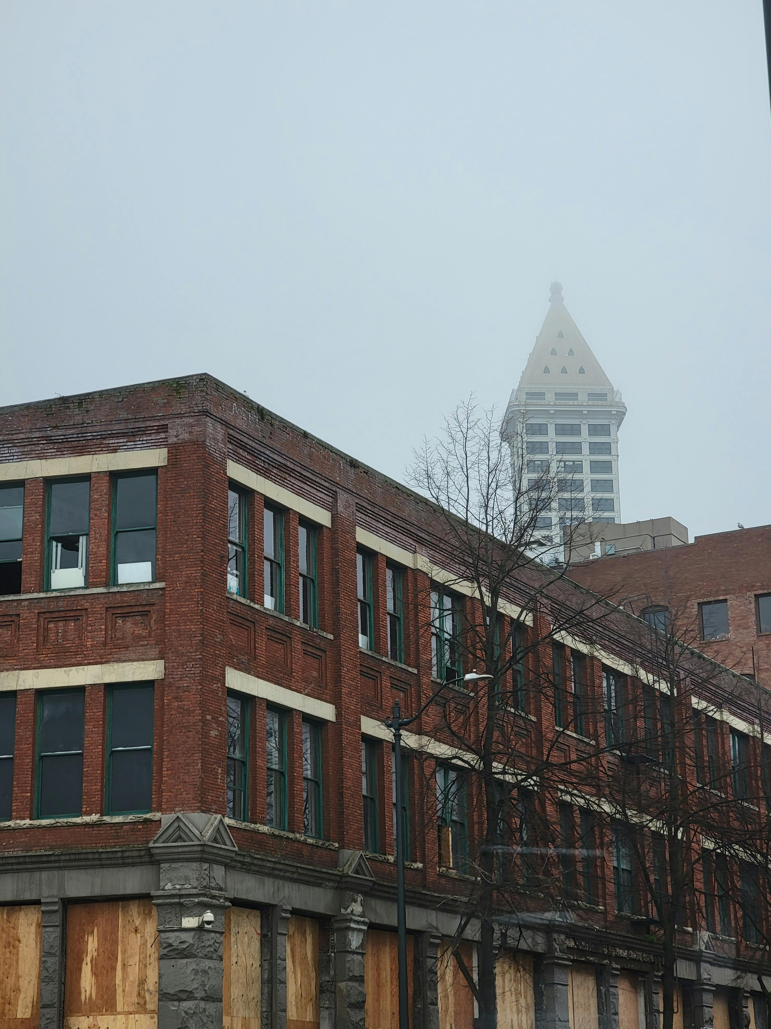 Ward Φωτογραφία