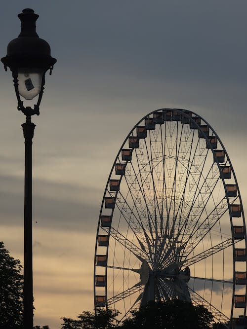 Fotos de stock gratuitas de ángulo bajo, anochecer, cielo