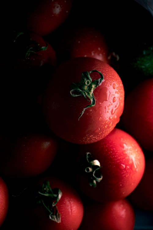 Free Vibrant red tomatoes with water droplets, showcasing freshness and organic quality in a close-up shot. Stock Photo
