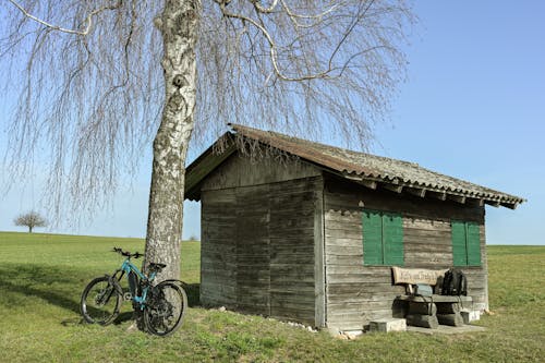Bike near Tree near Wooden Barn in Field