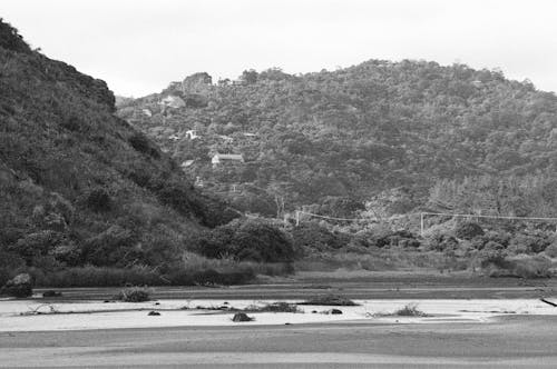 Foto profissional grátis de ao ar livre, colinas, floresta