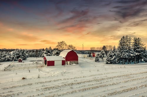 Buildings on a Farm Covered in Snow 
