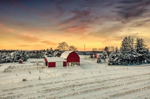 Free Buildings on a Farm Covered in Snow  Stock Photo