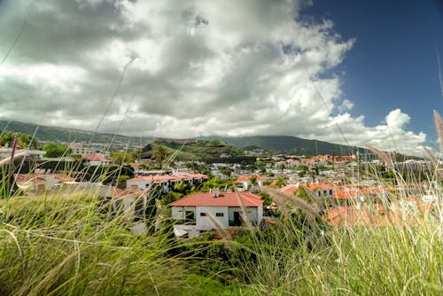 View of a Town from a Grass Hill 