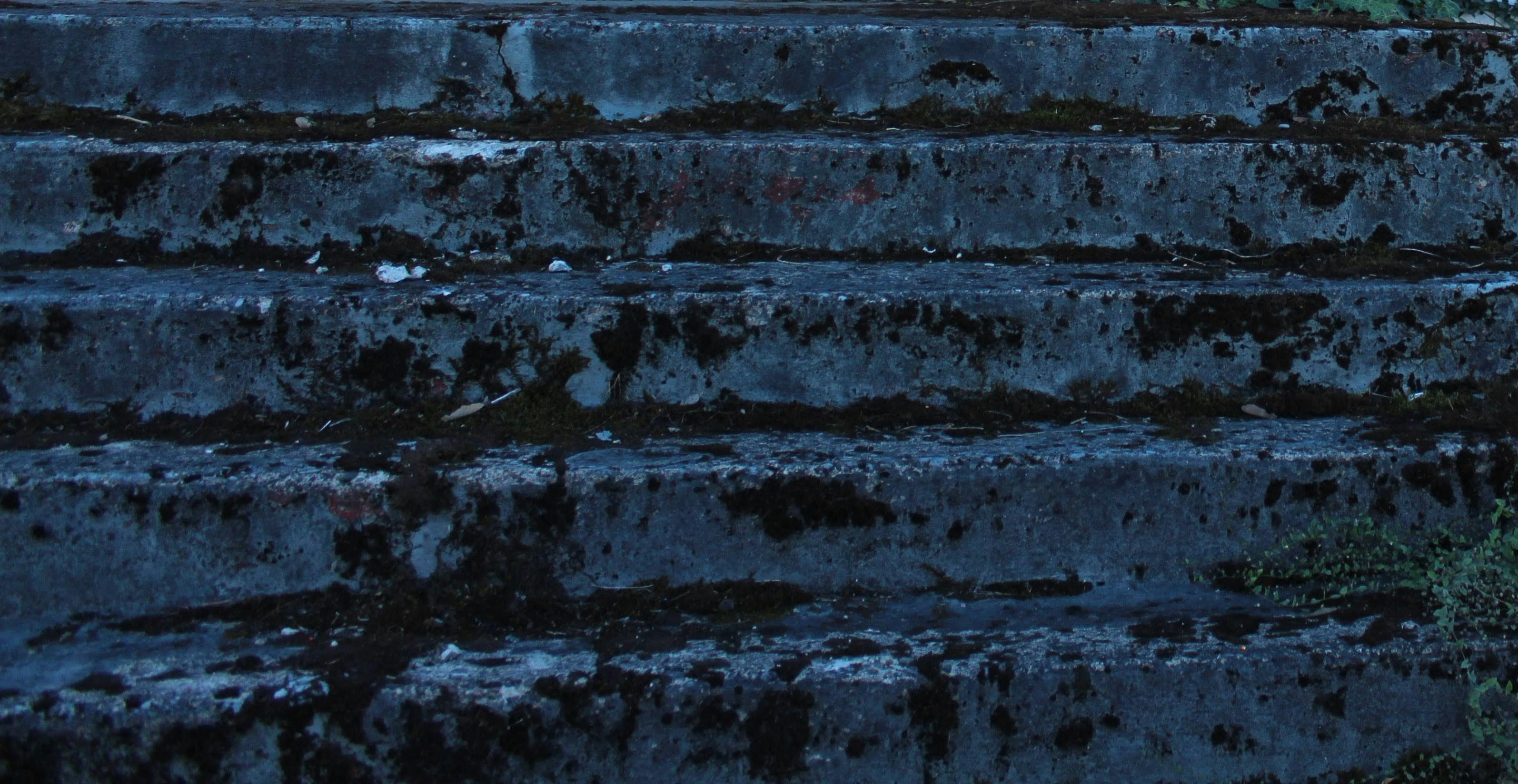 Free stock photo of moss, moss on old stairs, old stairs