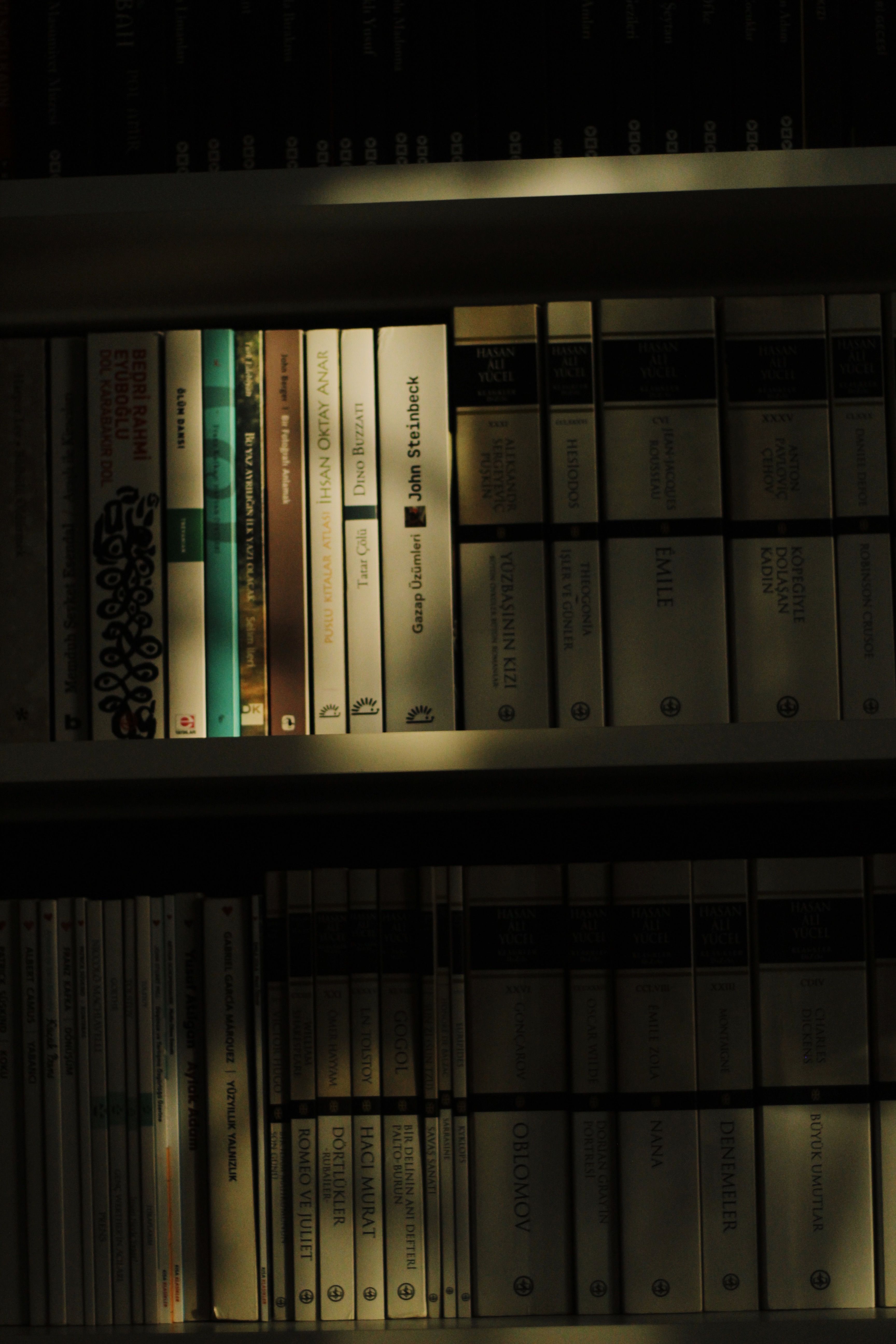 Bookshelf displaying various books, illuminated by dramatic sunlight creating unique shadows.