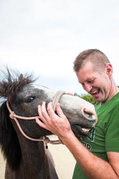 一个男人与马开玩笑互动的快乐时刻，他一边笑一边互动